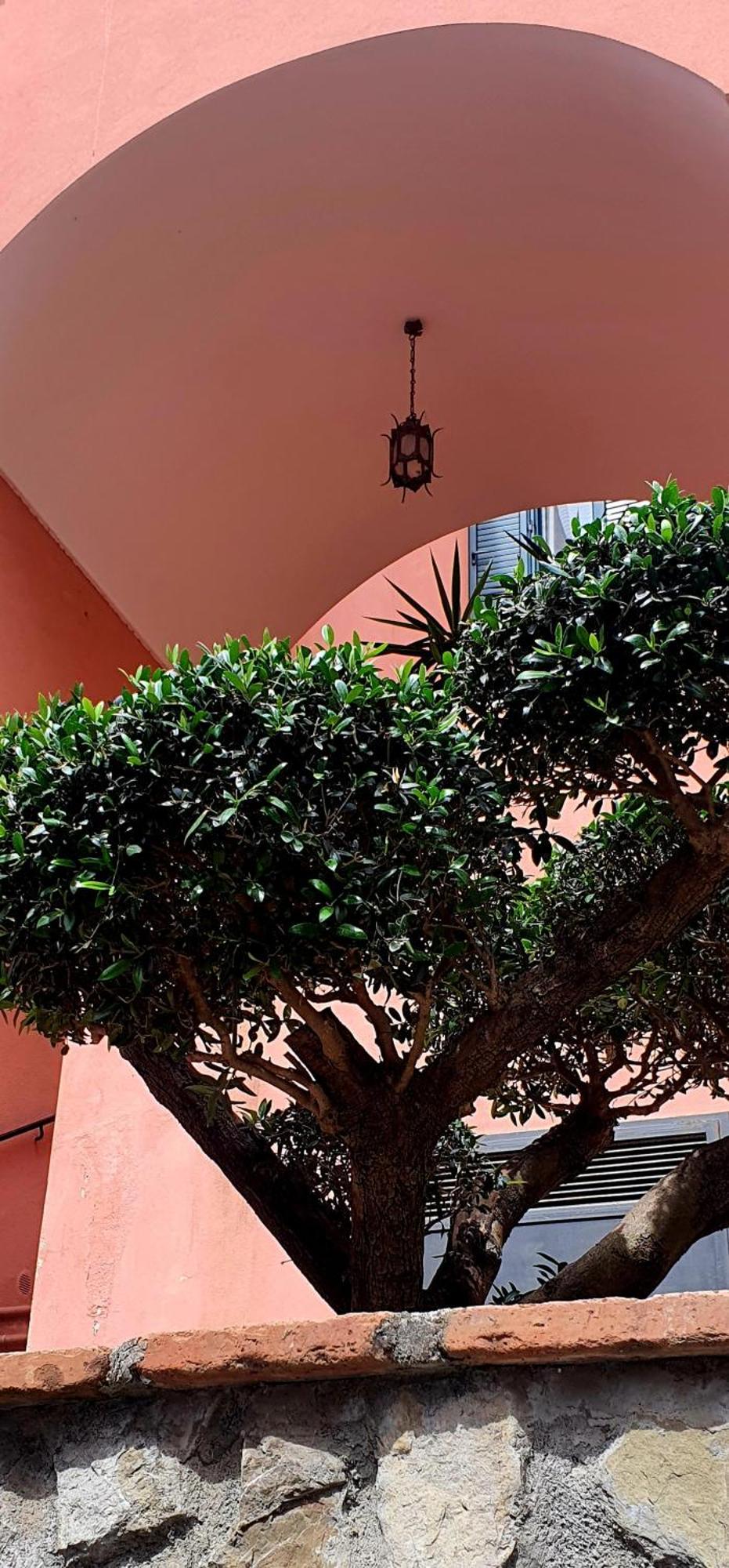 La Maison Rose Maiori Eksteriør billede